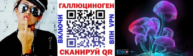omg tor  Урус-Мартан  Псилоцибиновые грибы MAGIC MUSHROOMS 