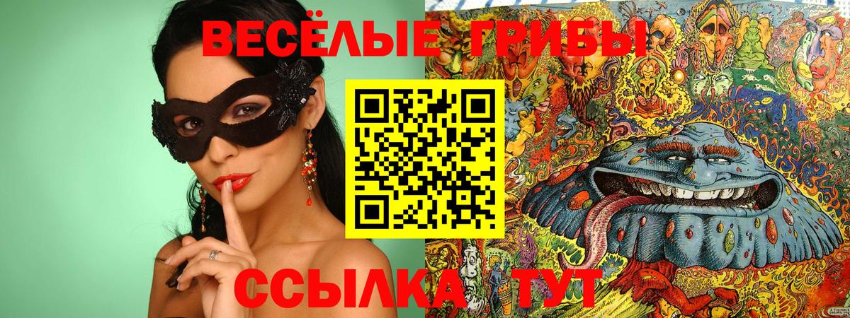Галлюциногенные грибы ЛСД Урус-Мартан