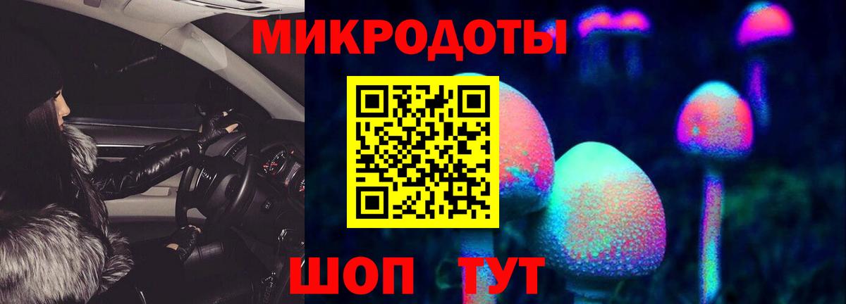 Урус-Мартан  Псилоцибиновые грибы мухоморы  Вход с VPN 